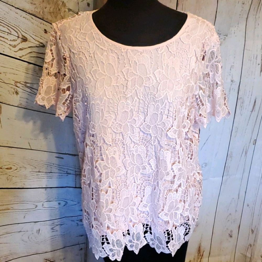 Philosophy crew neck lace top Cloud Pink Medium